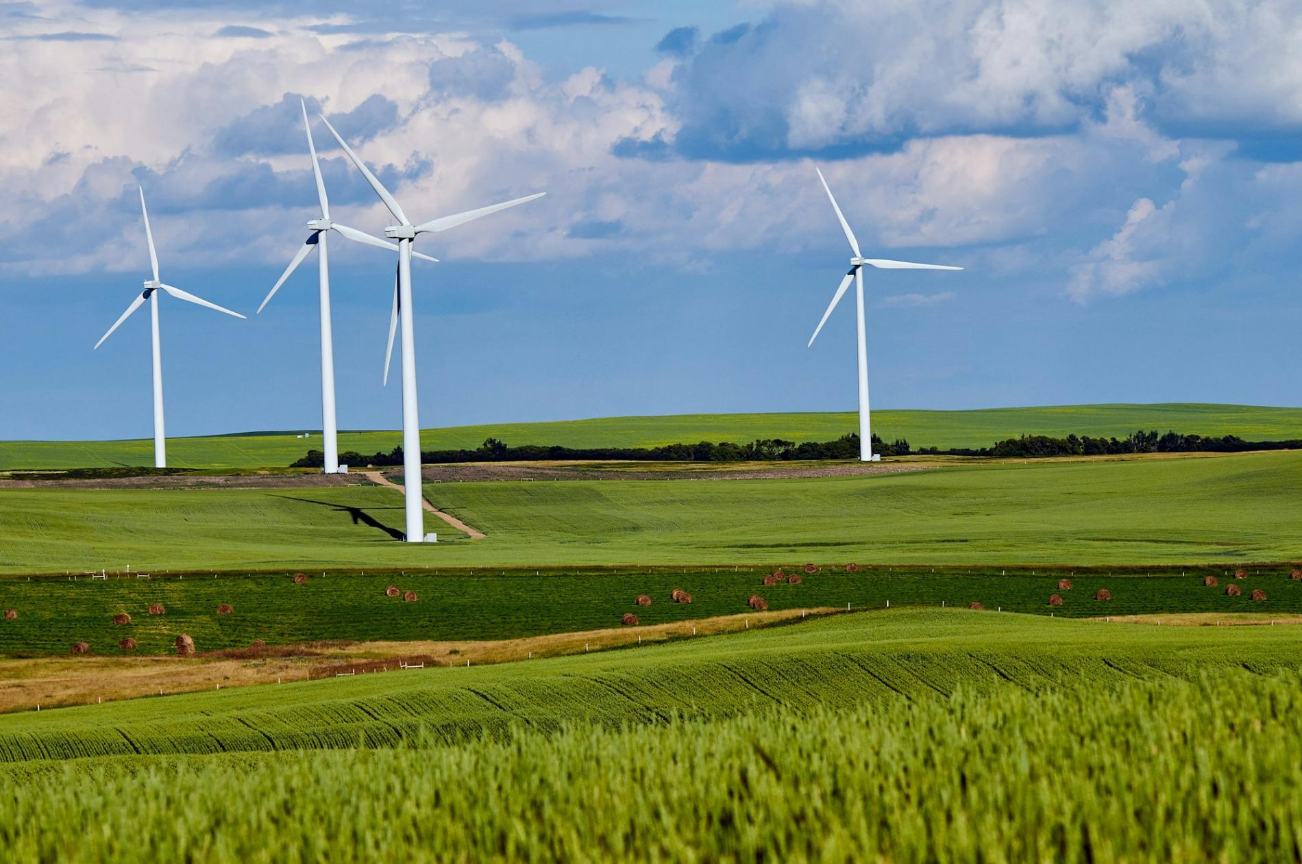 Wind turbines on green rolling farmland